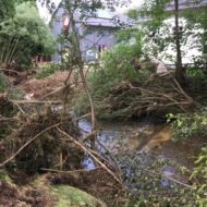 Die Flut – oder: Mensch und Natur Die Flut – oder: Mensch und Natur