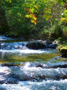 Anmerkungen zu den „Ordnungen der Liebe“