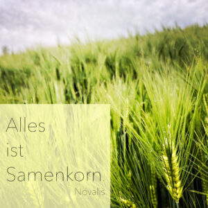 Alles ist Samenkorn – warum Zerstörung nicht das Ende ist